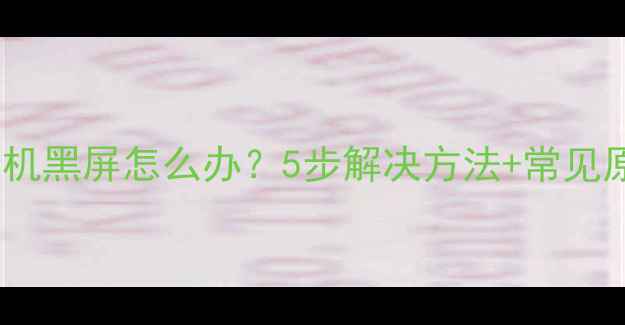 图片 手机相机黑屏怎么办？5步解决方法+常见原因全1