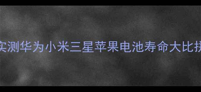 图片 手机续航王者TOP5！实测华为小米三星苹果电池寿命大比拼（附选购避坑指南）