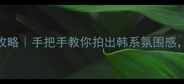 图片 手机美颜相机全攻略｜手把手教你拍出韩系氛围感，附参数设置模板