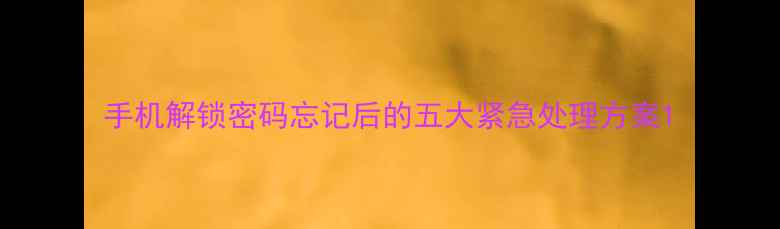 图片 手机解锁密码忘记后的五大紧急处理方案1
