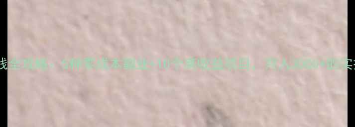 图片 手机赚钱全攻略：5种零成本副业+10个高收益项目，月入3000+的实操指南2