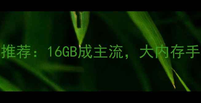 图片 手机运行内存推荐：16GB成主流，大内存手机选购全指南