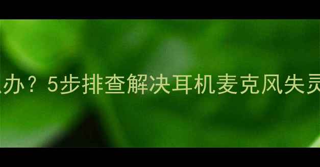 图片 手机麦克风没声音怎么办？5步排查解决耳机麦克风失灵问题（附图文教程）2