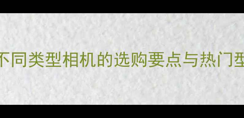 图片 摄影师相机推荐指南：不同类型相机的选购要点与热门型号对比（附专业建议）