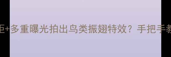 图片 数码摄影如何用微距+多重曝光拍出鸟类振翅特效？手把手教你打造电影感镜头