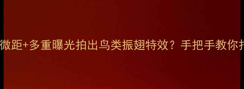图片 数码摄影如何用微距+多重曝光拍出鸟类振翅特效？手把手教你打造电影感镜头1