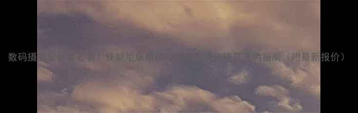 图片 数码摄影爱好者必看！佳能尼康相机32GB内存卡价格及选购指南（附最新报价）