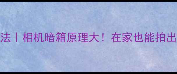 图片 数码暗房新玩法｜相机暗箱原理大！在家也能拍出胶片质感大片