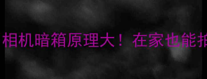 图片 数码暗房新玩法｜相机暗箱原理大！在家也能拍出胶片质感大片2