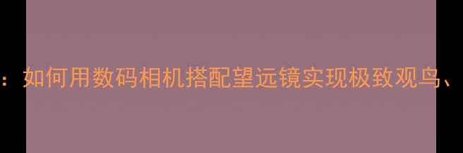 图片 数码望远镜专业摄影利器：如何用数码相机搭配望远镜实现极致观鸟、星空拍摄？全攻略来了！