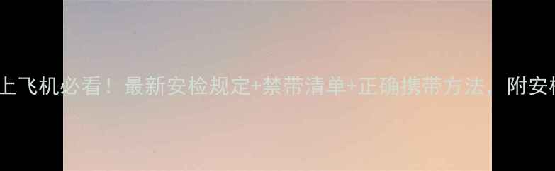 图片 数码相机上飞机必看！最新安检规定+禁带清单+正确携带方法，附安检流程图2