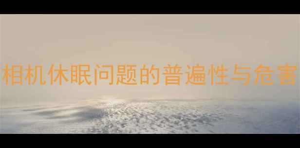 图片 数码相机休眠问题的普遍性与危害分析