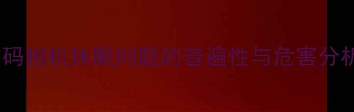 图片 数码相机休眠问题的普遍性与危害分析1