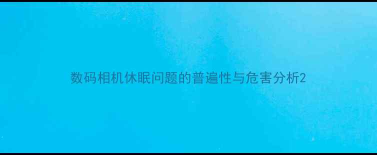 图片 数码相机休眠问题的普遍性与危害分析2