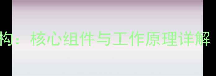 图片 数码相机内部结构：核心组件与工作原理详解（附选购指南）1