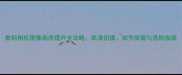 图片 数码相机图像画质提升全攻略：高清拍摄、细节保留与选购指南