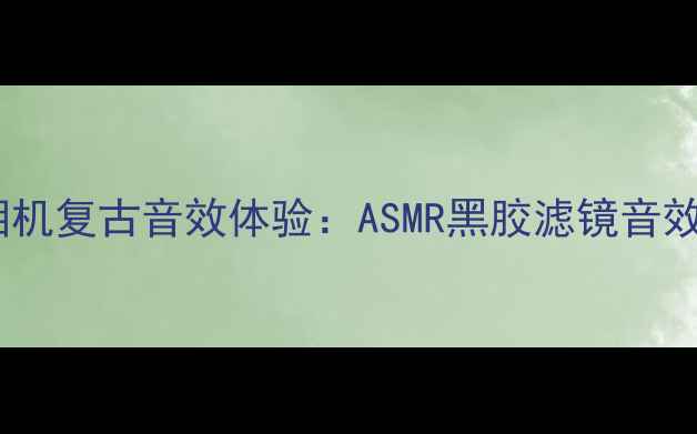 图片 数码相机复古音效体验：ASMR黑胶滤镜音效合集2