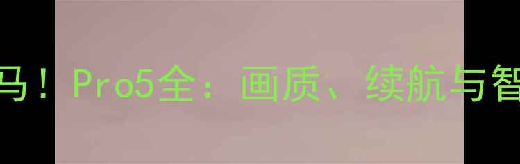 图片 数码相机市场黑马！Pro5全：画质、续航与智能功能全面升级