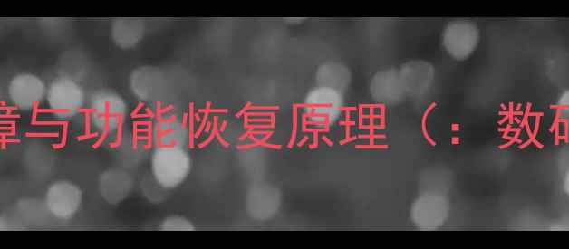 图片 数码相机常见故障与功能恢复原理（：数码相机故障处理）