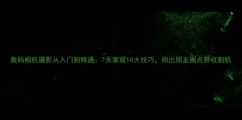 图片 数码相机摄影从入门到精通：7天掌握10大技巧，拍出朋友圈点赞收割机