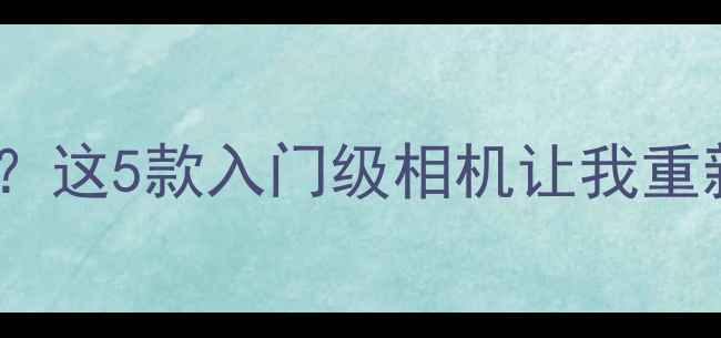 图片 数码相机没落？这5款入门级相机让我重新爱上拍照！2