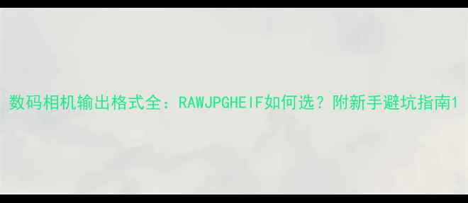 图片 数码相机输出格式全：RAWJPGHEIF如何选？附新手避坑指南1