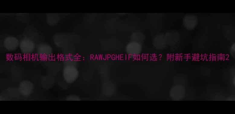 图片 数码相机输出格式全：RAWJPGHEIF如何选？附新手避坑指南2