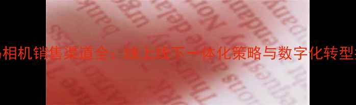 图片 数码相机销售渠道全：线上线下一体化策略与数字化转型指南