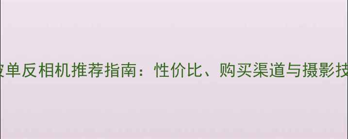 图片 新加坡单反相机推荐指南：性价比、购买渠道与摄影技巧全1