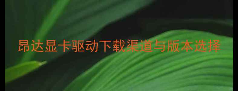 图片 昂达显卡驱动下载渠道与版本选择