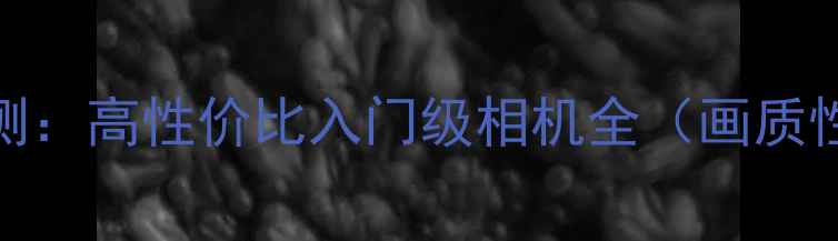 图片 明基相机600评测：高性价比入门级相机全（画质性能价格对比）1
