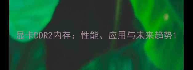 图片 显卡DDR2内存：性能、应用与未来趋势1