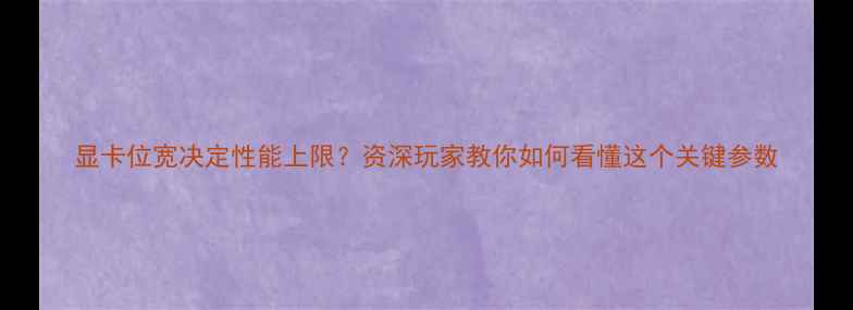 图片 显卡位宽决定性能上限？资深玩家教你如何看懂这个关键参数