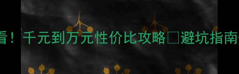 图片 显卡选购必看！千元到万元性价比攻略🔥避坑指南+品牌对比🎮