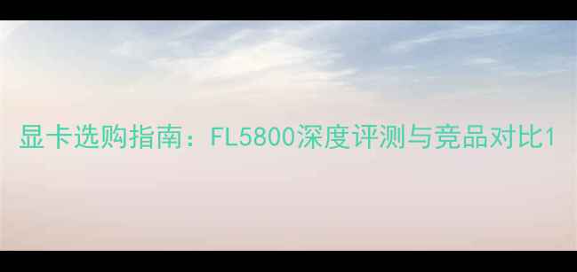 图片 显卡选购指南：FL5800深度评测与竞品对比1