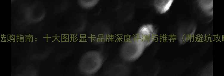 图片 显卡选购指南：十大图形显卡品牌深度评测与推荐（附避坑攻略）1