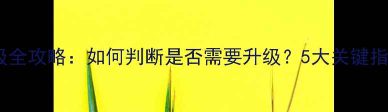 图片 显卡驱动升级全攻略：如何判断是否需要升级？5大关键指标+操作指南