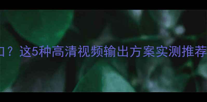 图片 显示器无HDMI接口？这5种高清视频输出方案实测推荐（附避坑指南）1