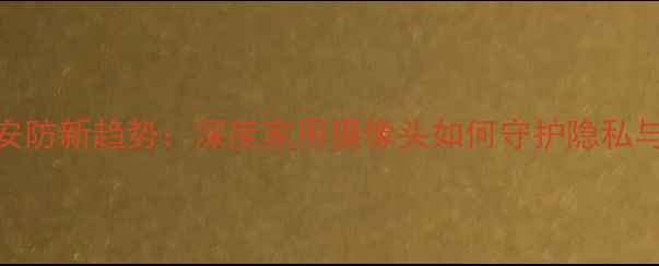 图片 智能安防新趋势：深度家用摄像头如何守护隐私与安全