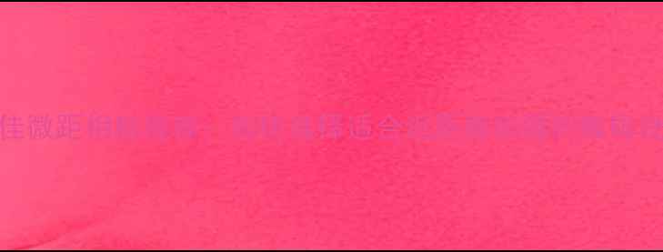 图片 最佳微距相机推荐：如何选择适合近距离拍摄的数码设备