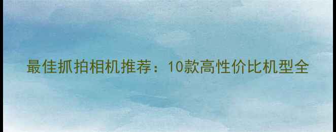 图片 最佳抓拍相机推荐：10款高性价比机型全