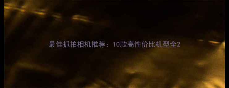 图片 最佳抓拍相机推荐：10款高性价比机型全2