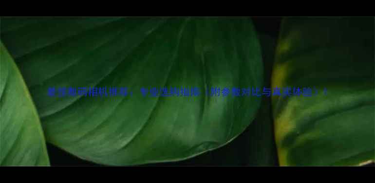 图片 最佳数码相机推荐：专业选购指南（附参数对比与真实体验）1