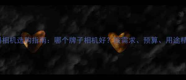 图片 最佳数码相机选购指南：哪个牌子相机好？按需求、预算、用途精准推荐1
