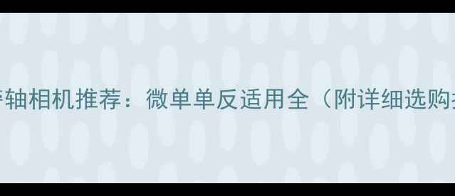 图片 最佳旁轴相机推荐：微单单反适用全（附详细选购指南）