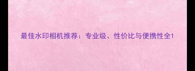 图片 最佳水印相机推荐：专业级、性价比与便携性全1