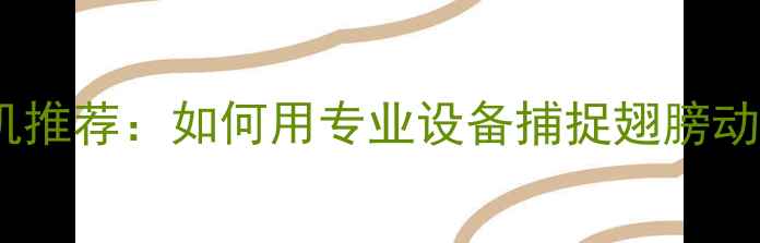 图片 最佳相机推荐：如何用专业设备捕捉翅膀动态特效2