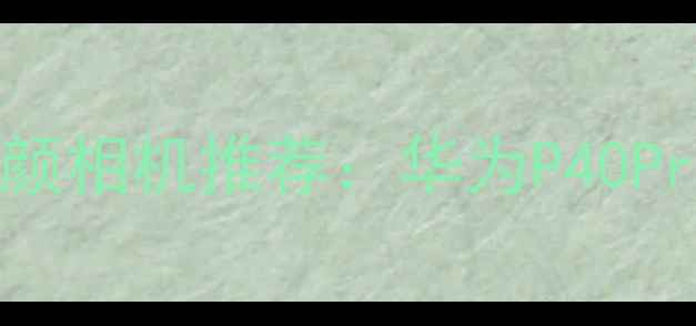 图片 最值得入手的10款美颜相机推荐：华为P40Pro、小米CC9Pro等全1