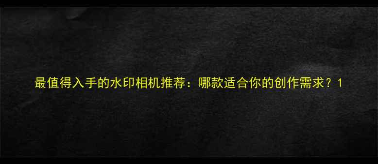 图片 最值得入手的水印相机推荐：哪款适合你的创作需求？1
