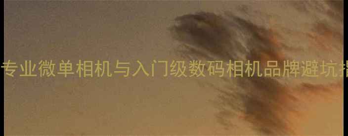 图片 最新推荐：十大专业微单相机与入门级数码相机品牌避坑指南及选购攻略2